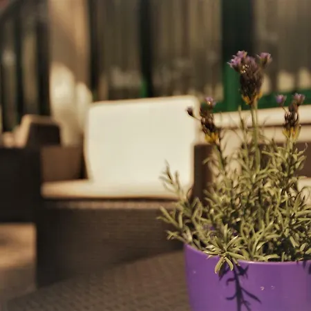 Boccaccio-free Parking- 3*