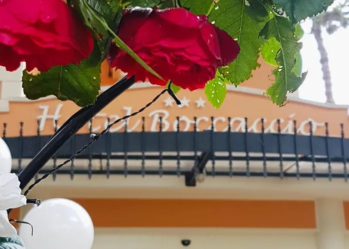 Boccaccio-free Parking- Milano Marittima