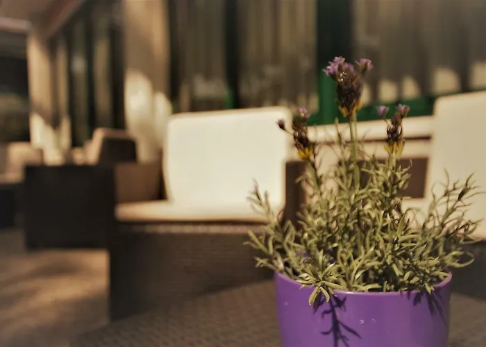 Boccaccio-free Parking- 3*